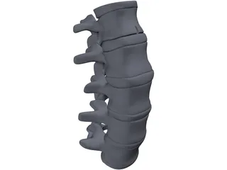 Lumbar Spine 3D Model