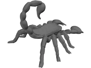 Scorpion 3D Model