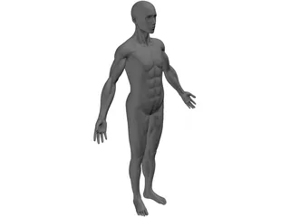 Full Human Anatomy for Simulation 3D Model