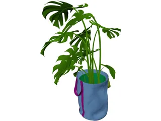 Monstera Deliciosa 3D Model