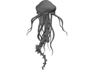 Jelly Fish 3D Model