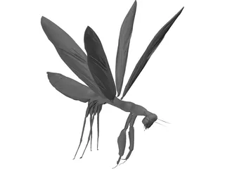 Flying Mantis 3D Model