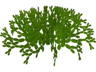 Opuntia 3D Model