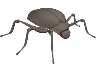 Bug 3D Model