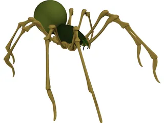 Spider 3D Model