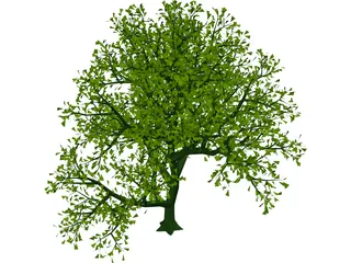 Lush Tree 3D Model