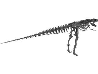 Gorgosaurus Skeleton 3D Model