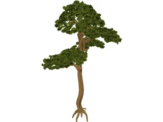 Pine 3D Model