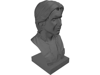 Han Solo Bust 3D Model