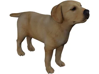 Dog 3D Model