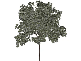 Arbol Tree 3D Model