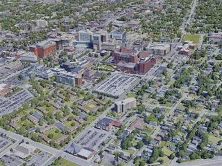 Buffalo City, NY, USA (2019) 3D Model