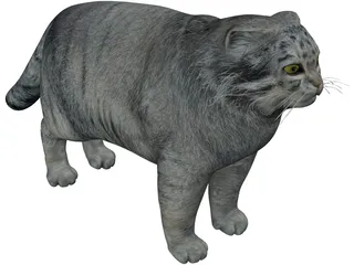 Pallas Cat 3D Model