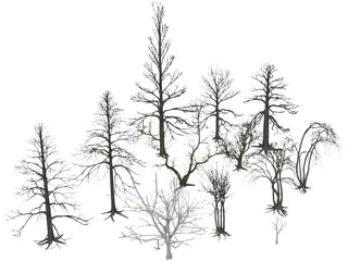 Dead Trees 3D Model