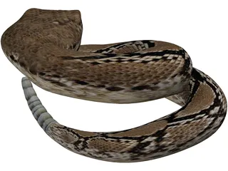 Rattlesnake 3D Model