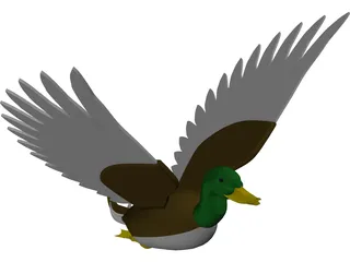 Duck Flying 3D Model