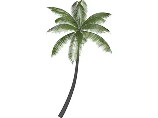 Palm 3D Model