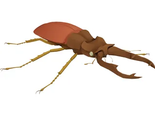 Beetle 3D Model