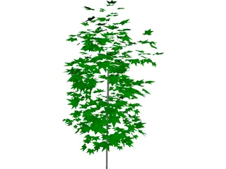 Tree 3D Model