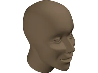 Human Head 3D Model