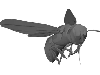 Bee 3D Model