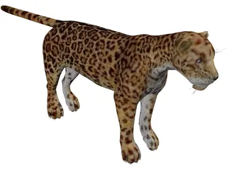 Jaguar 3D Model