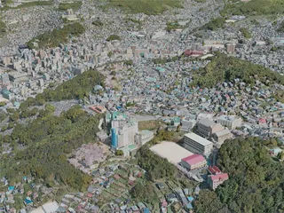 Nagasaki City, Japan (2020) 3D Model