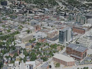 Buffalo City, USA (2020) 3D Model