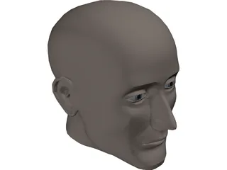 Head Human 3D Model