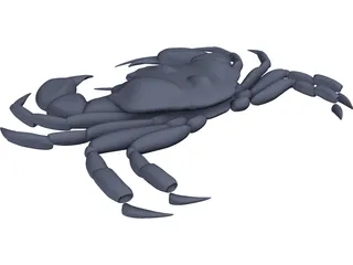 Harris Mud Crab 3D Model