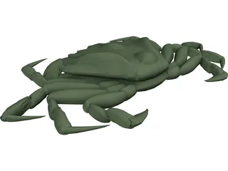 European Green Crab 3D Model