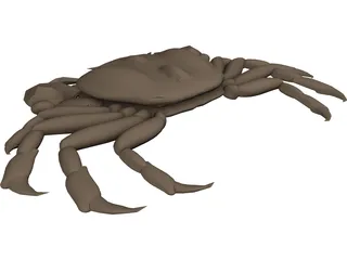 Asian Shore Crab 3D Model