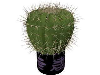 Cactus 3D Model