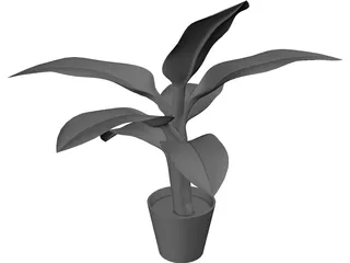 Banana Plant 3D Model