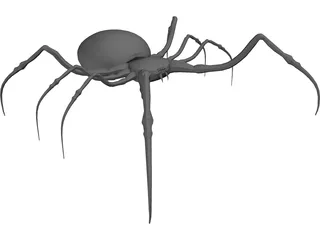 Spider 3D Model