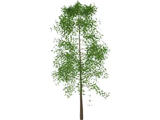 Tree 3D Model