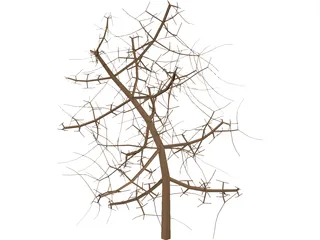 Tree 3D Model