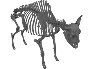 Bull Skeleton 3D Model