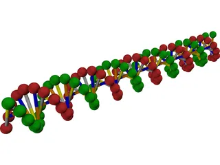 DNA 3D Model