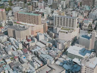 Hamamatsu City, Japan (2021) 3D Model