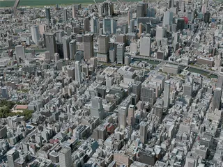 Kyoto City, Japan (2021) 3D Model