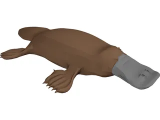 Platypus 3D Model