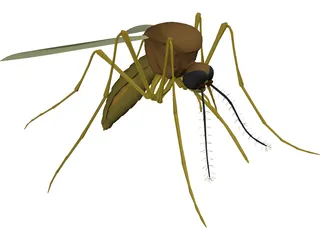 Mosquito 3D Model