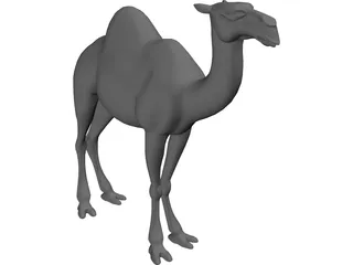 Camel 3D Model