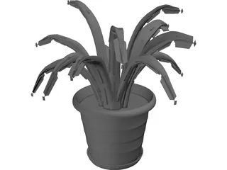 Aloe Plant in a Pot 3D Model