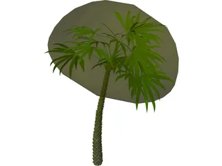 Palm 3D Model