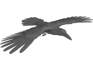 Raven 3D Model