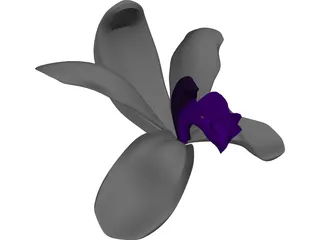 Orchid 3D Model