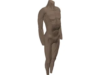 Surface Muscles 3D Model