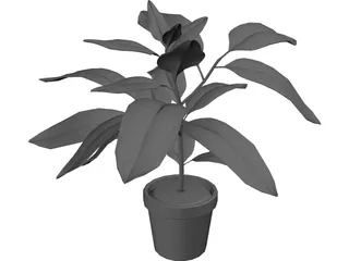 Houseplants 3D Model